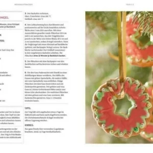 Dr. Oetker Verlag Weihnachtsbacken Von A-Z 12