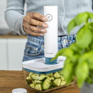 ZWILLING Fresh & Save Vakuum Starterset, Glas, 7-teilig, inkl. Dose, Pumpe und Beutel, La Mer 18